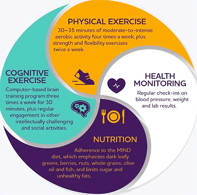 U.S. POINTER Study Connects Brain Health to Healthy Behaviors – Senior ...